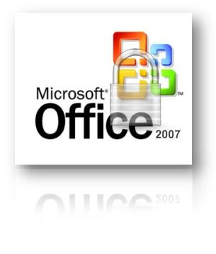 MS Office 2007 Protected logo