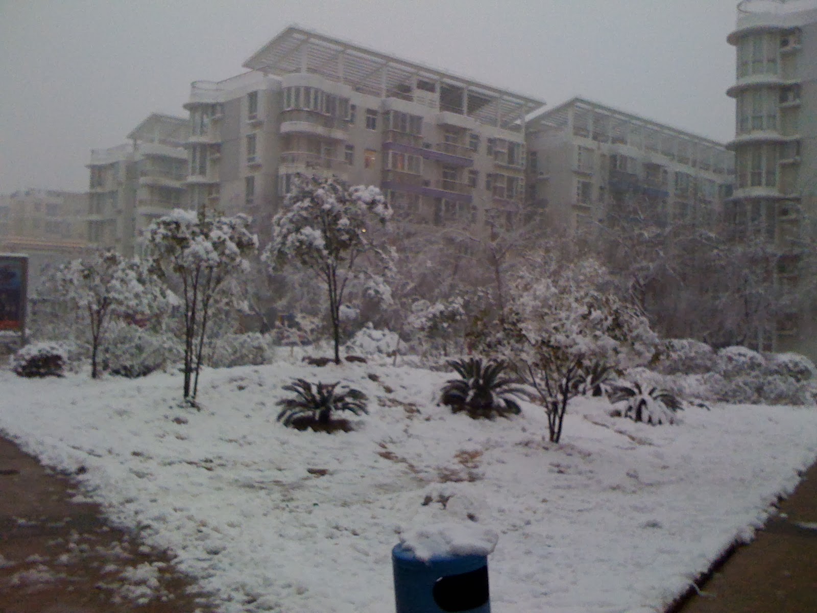 [IMG_0175.JPG]