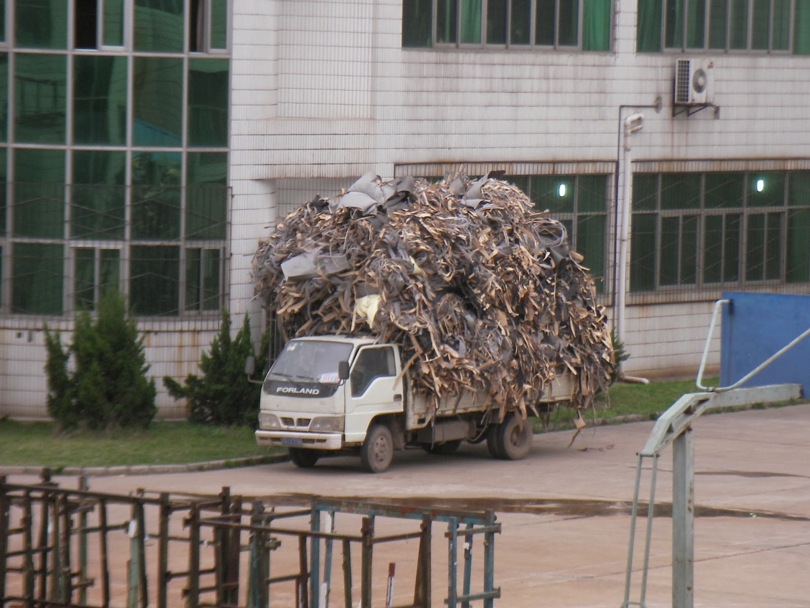[SANY1160.JPG]