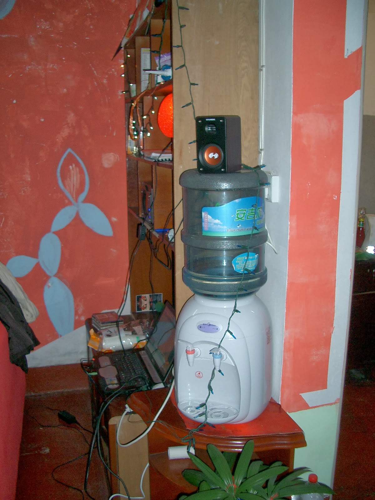[CIMG0850.JPG]