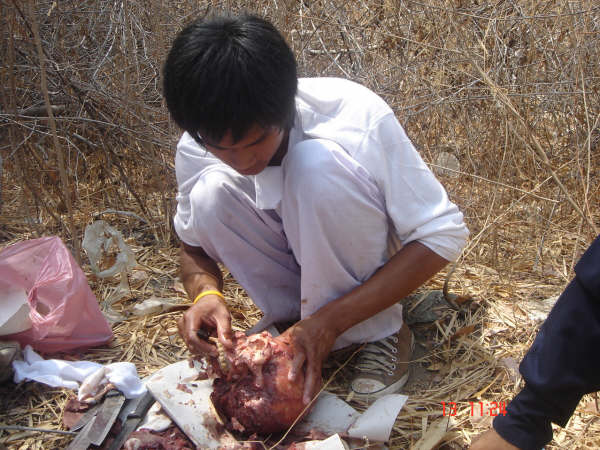[DSC09818.jpg]