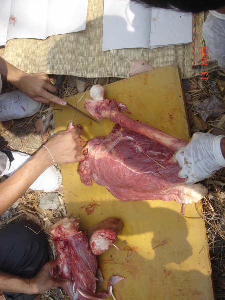 [DSC09773.jpg]