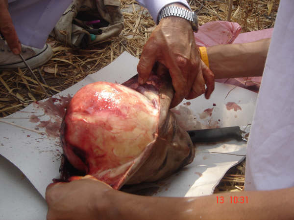 [DSC09787.jpg]