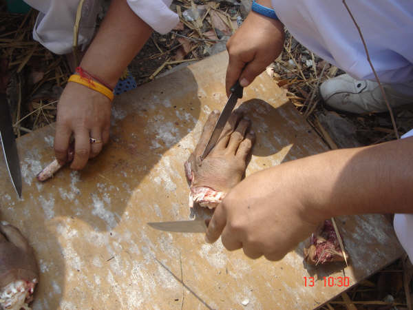 [DSC09783.jpg]