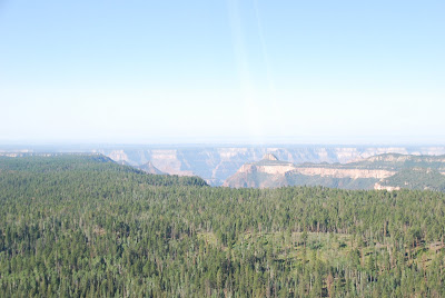 Día 13: Grand Canyon y Williams - 26 dias en USA (11)