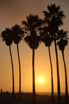 Días 23, 24 y 25: Los Angeles  - 26 dias en USA (38)