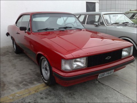 Opala_Diplomata%2BSS%2B80.jpg