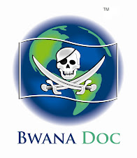 Bwana Doc Logo