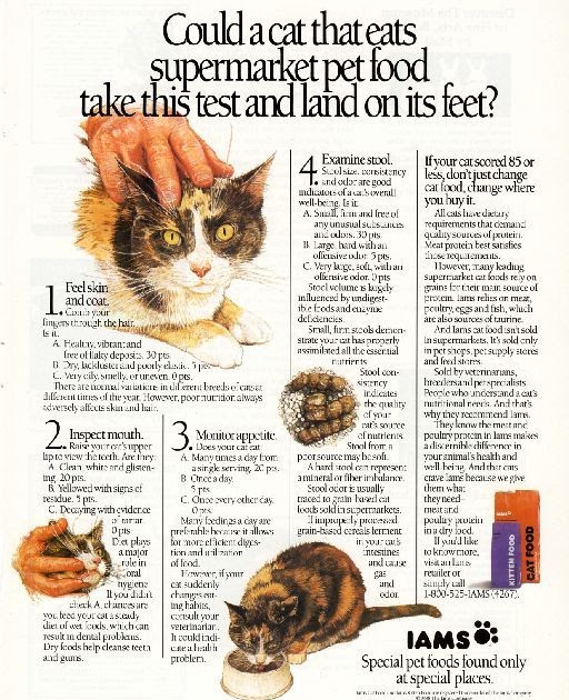 1988 IAMS Pet Food Magazine Ad Photo Print Cat Dog supermarket Old