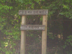 Providence Farms