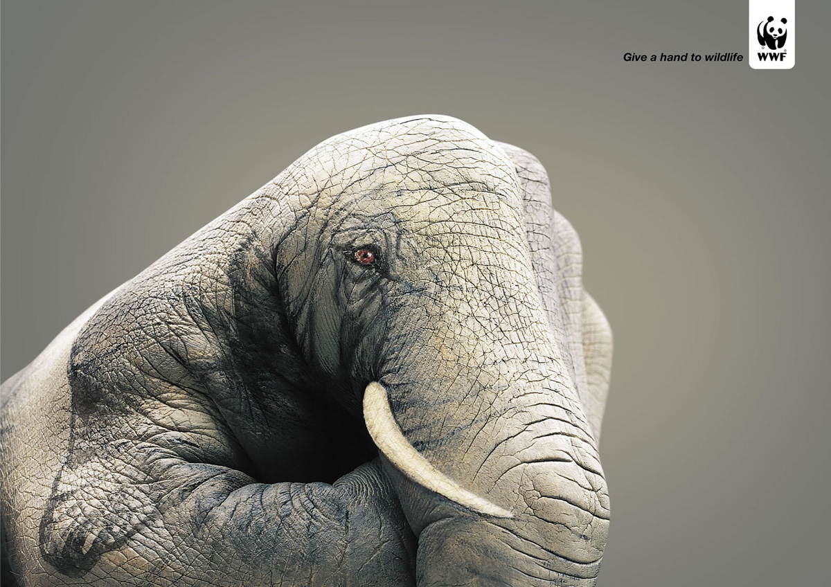 All Graphical: Realistic Hand Paintings (Guido Daniele)