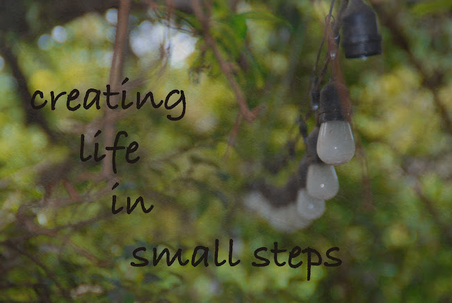 Creating Life in Small Steps