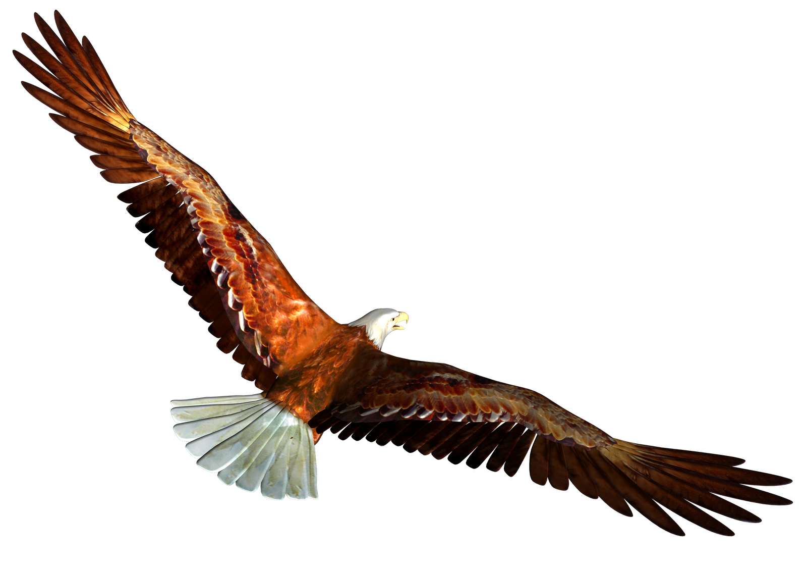 eagle clip art high resolution - photo #3