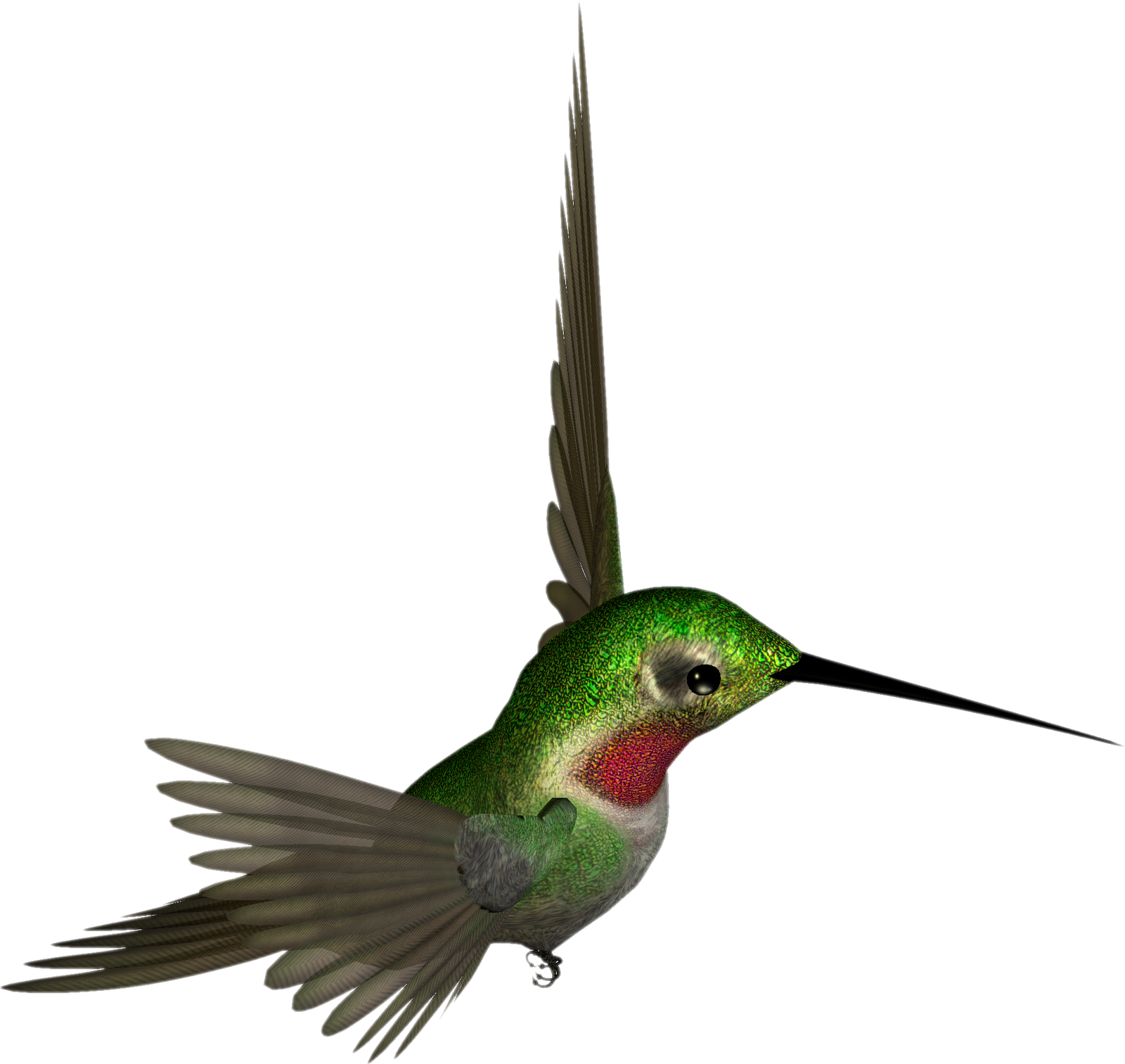 free animated hummingbird clipart - photo #9