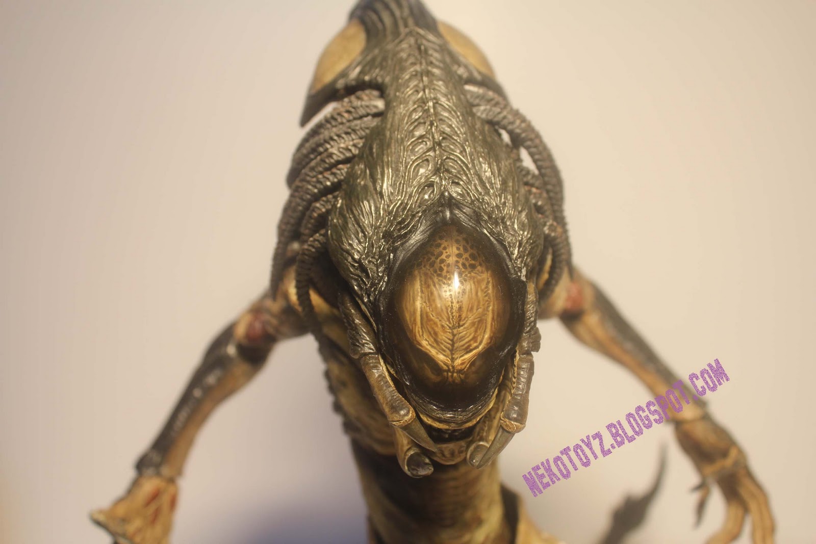download hot toys predalien
