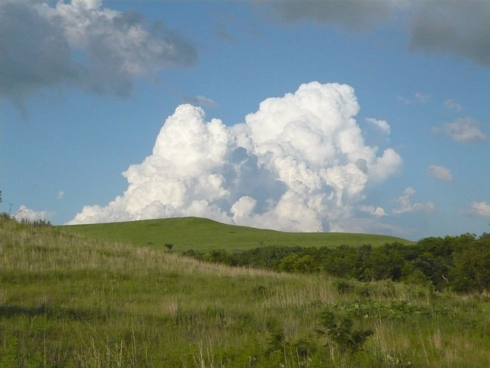 Hiking Trails of the Great Plains Konza Prairie Nature Trail