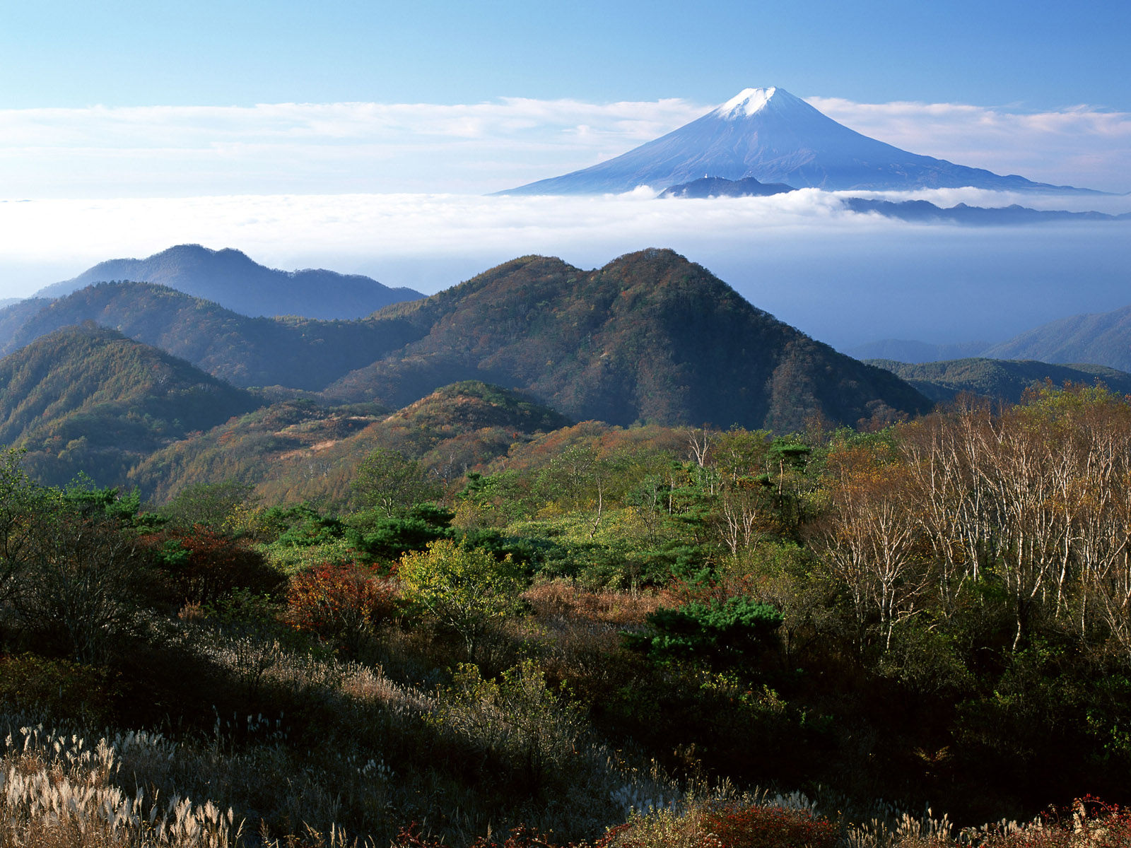 Fuji Fuji Fuji Fuji | Encyclopedia of World Photo