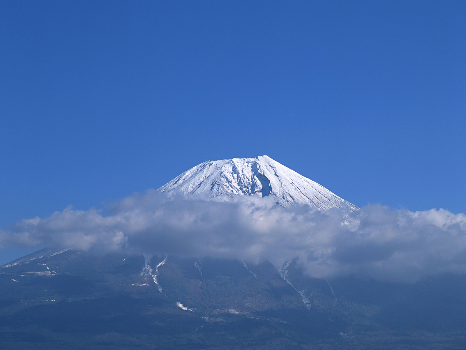 Fuji Fuji Fuji Fuji | Encyclopedia of World Photo