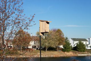 A Birdhouse