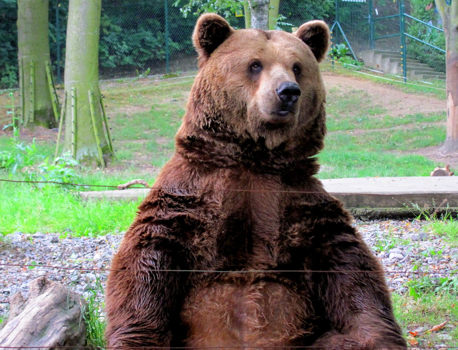 Abroad in the Czech Republic Blueberries