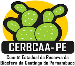 A EMA é membro efetivo do Comitê Estadual da Caatinga.