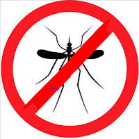 Fumigación contra mosquitos en Puan y Darregueira