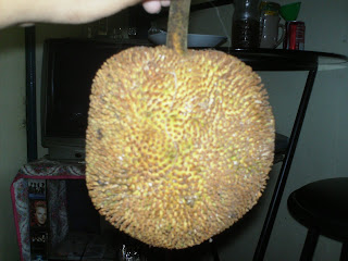 CALIBRATION OF INSTRUMENTS: nutrients of marang fruit