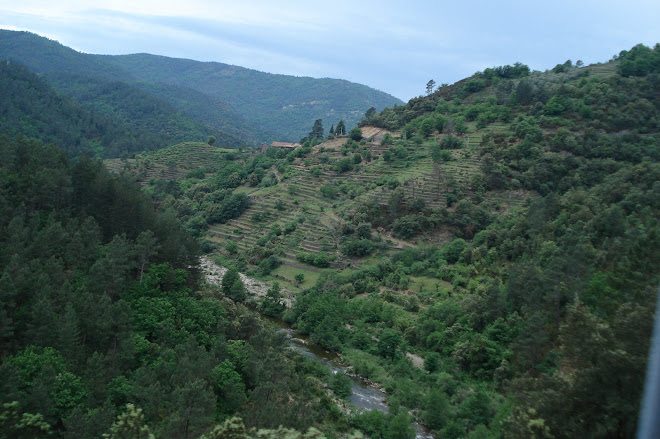 Vallée de la Drobie (Vivarais cévenol)