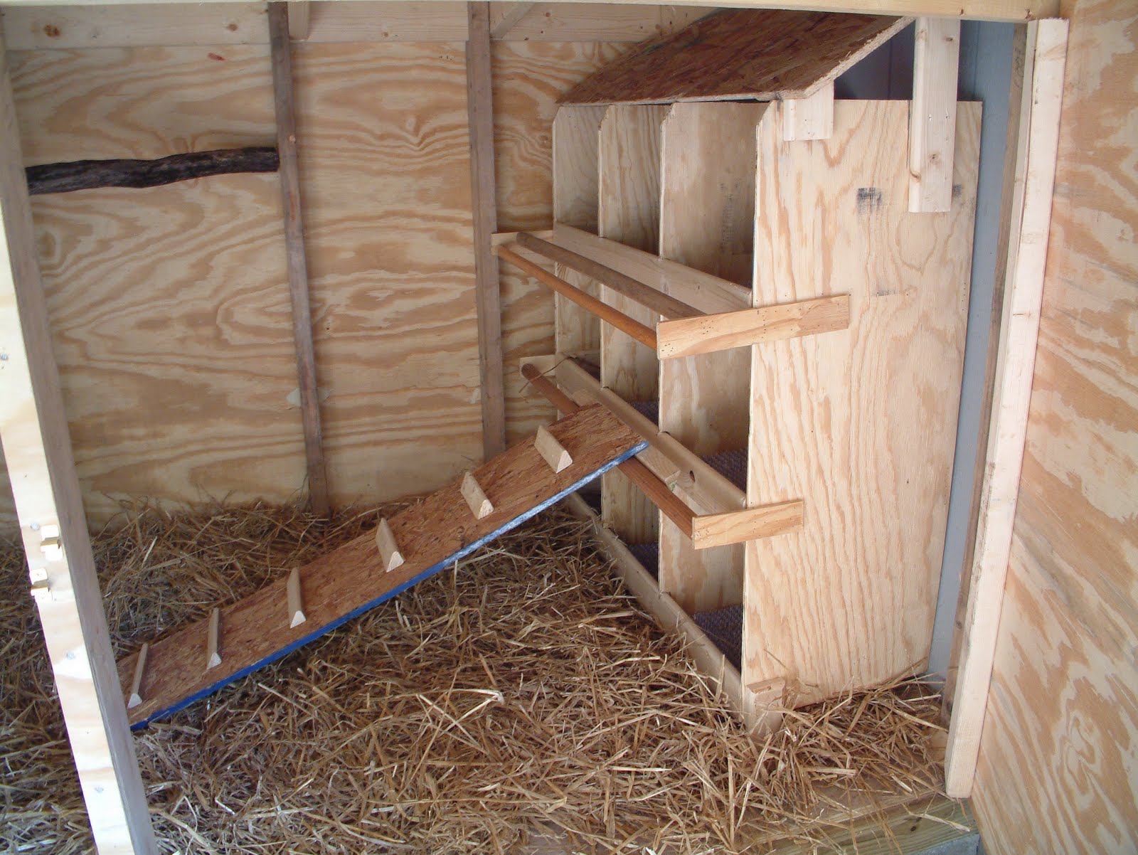The Spivey Family: Chicken Coop Progress & New Nest Boxes for the Coop! - DSCF0172