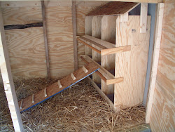 chicken boxes coop nesting inside coops designs diy nest chickens box bing plans building progress spivey finished range roosting wilderpublications