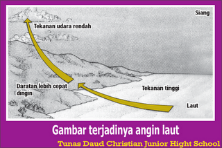 Perbedaan Antara Angin Laut Dengan Angin Darat | ILMU ALAM