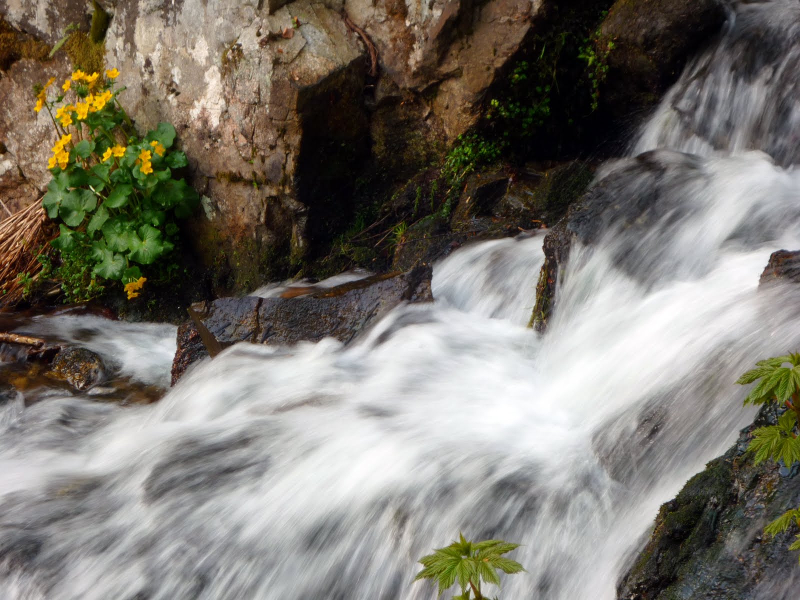 émotions-nature: LA CASCADE DE L'ANDLAU au HOWALD (bas-rhin)