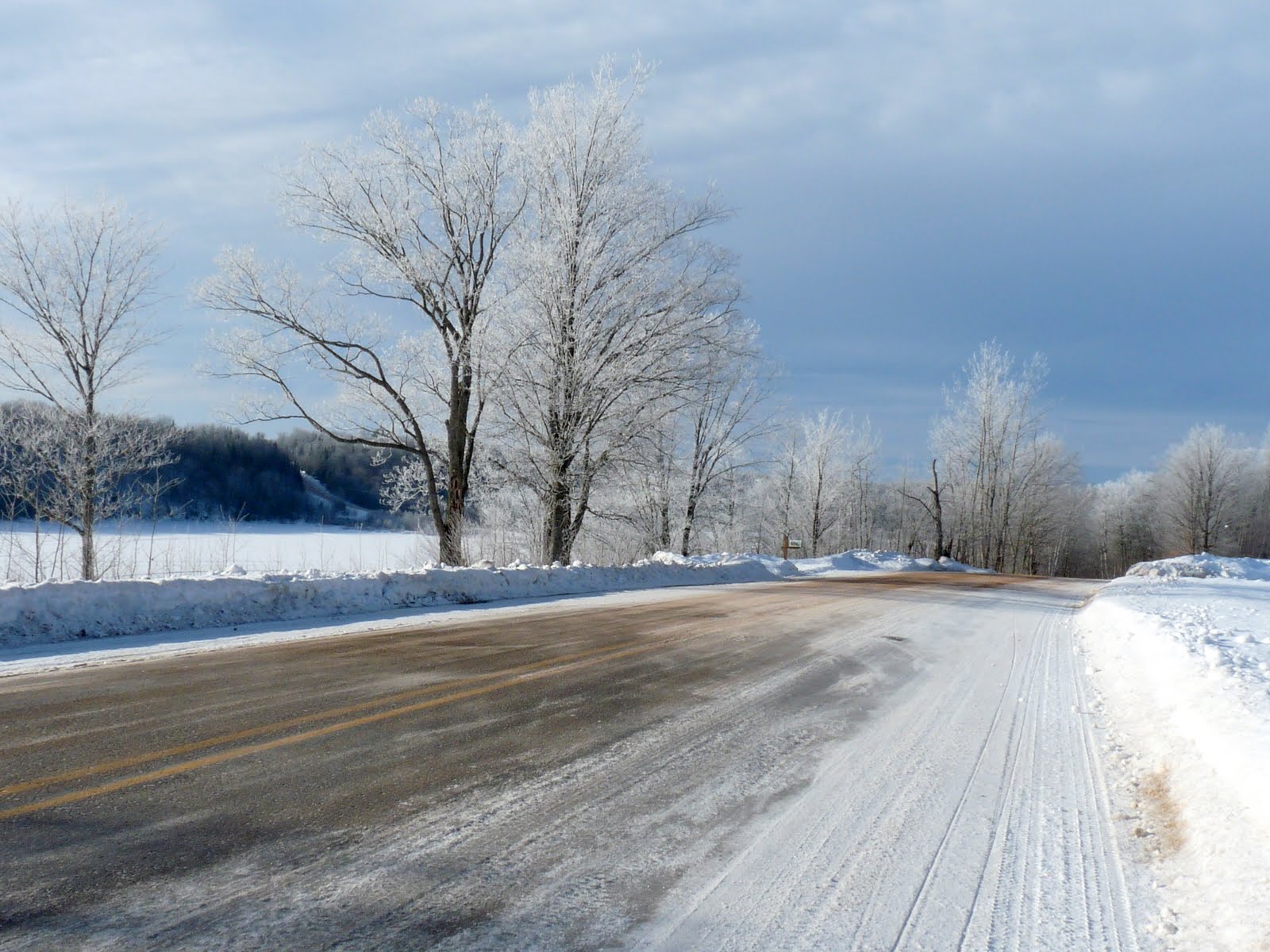 [road+lake+and+hoarfrost+trees.jpg]
