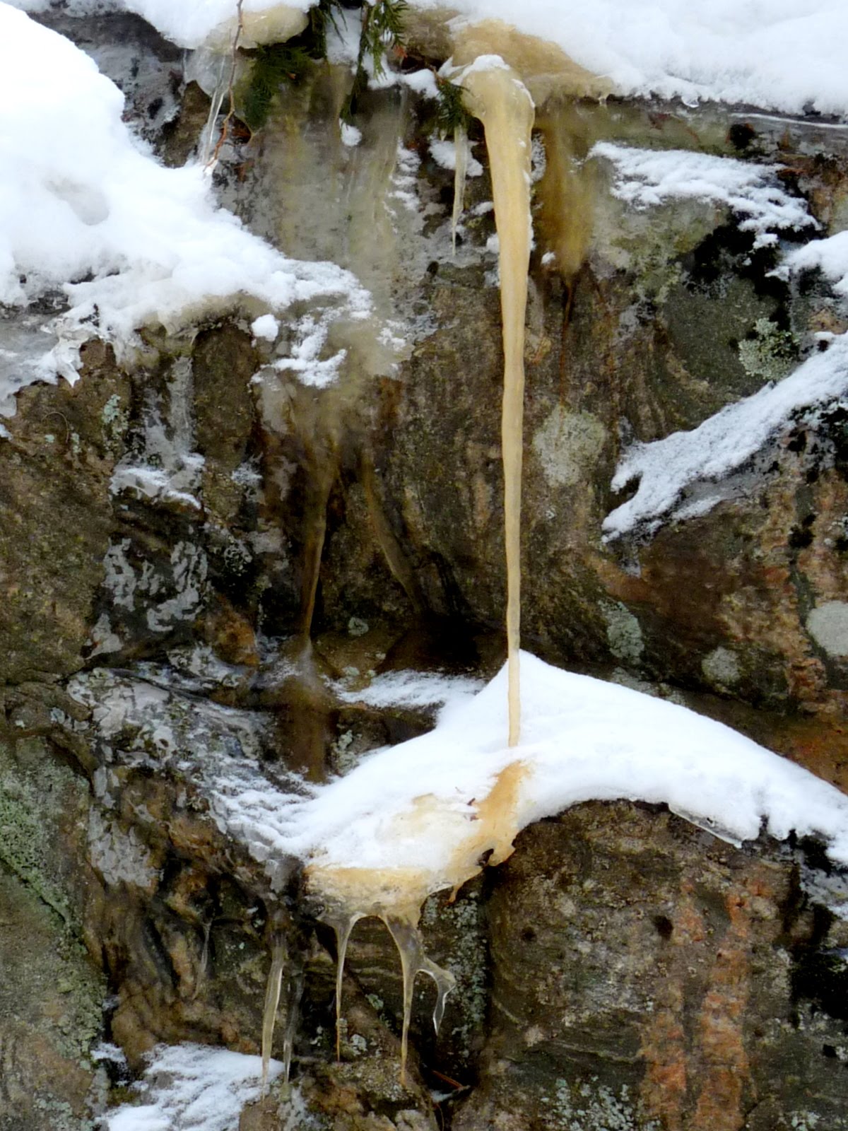 [yellow+dripping+icicle.jpg]