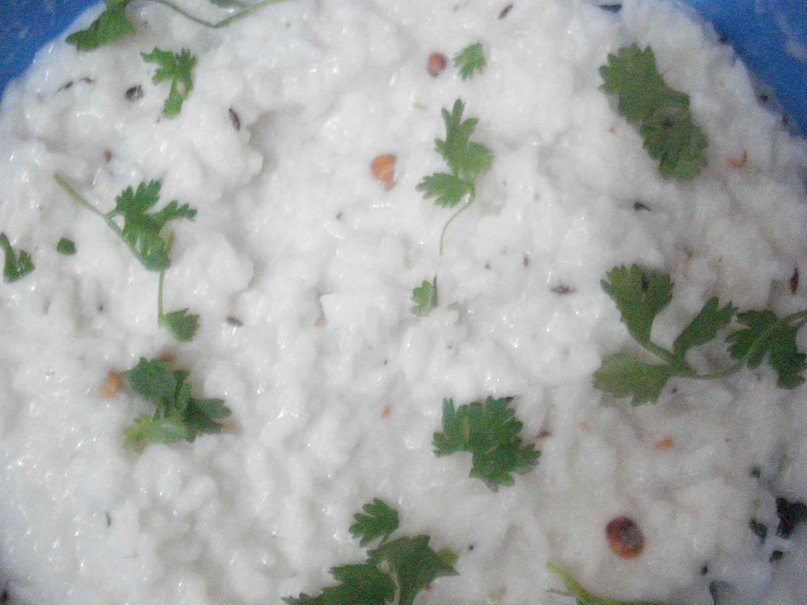 CURD RICE / PERUGU ANNAM / DHADHOJANAM - Prathi's Cuisine