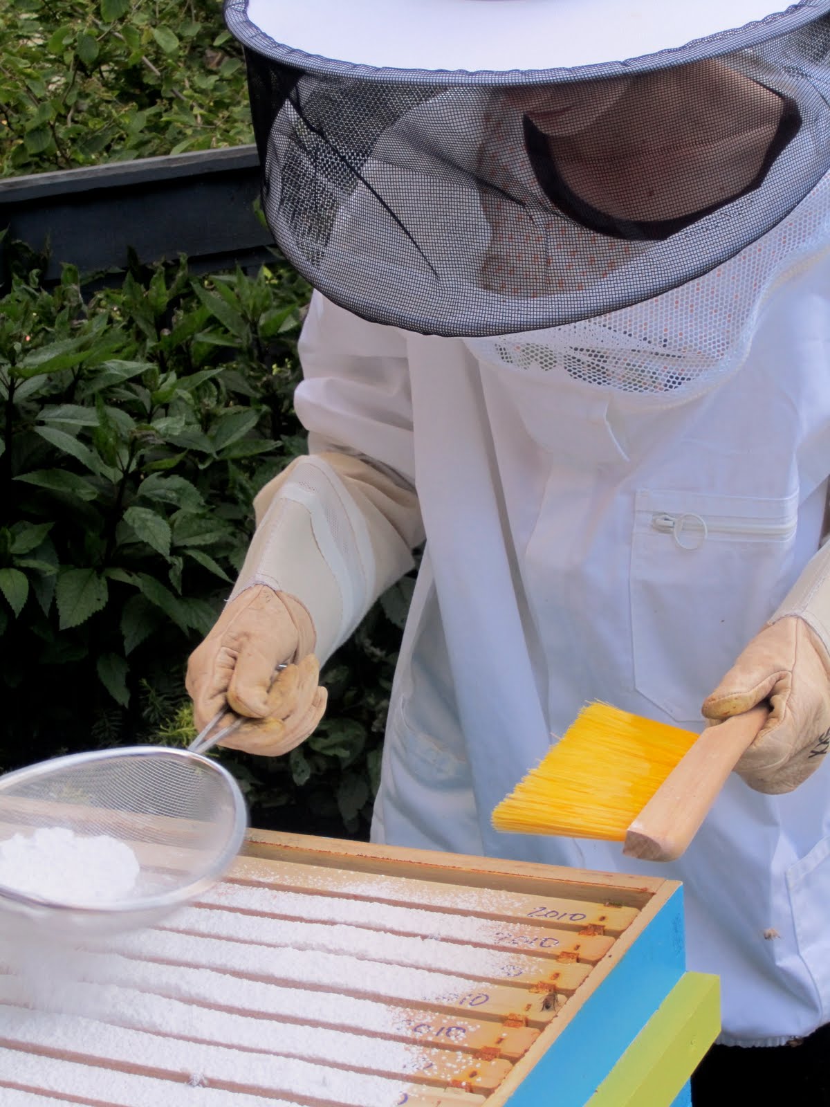 Audrey's Buzz'n Honeybees: Ghost Bees