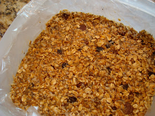 Container of Protein Bars before going in freezer