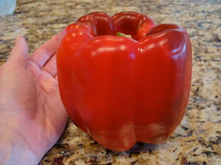 Large Red Bell Pepper