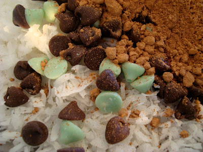 Ingredients for No Bake Vegan Mint Chocolate Chip Coconut Snowballs