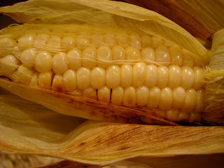 Roasted Corn with husk open