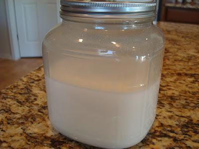 Lidded jar of Coconut Milk Kefir