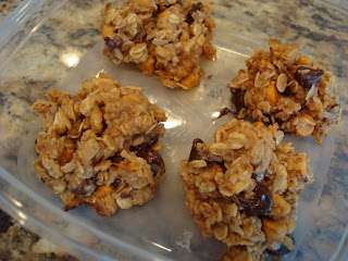 Vegan Maple Nut Chocolate Oat Clusters in clear container