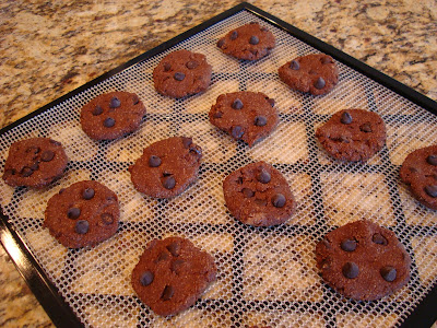 Raw Vegan Chocolate Chocolate-Chip Cookies on dehydrator tray