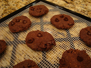 Finished Raw Vegan Chocolate Chocolate-Chip Cookies on dehydrator tray