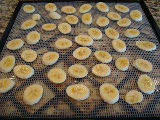 Sliced bananas on dehydrator tray