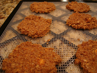 Finished Raw Vegan Apple Carrot (Pan)Cakes on dehydrator tray