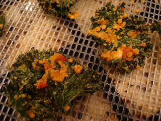 Close up of finished dehydrated kale on dehydrator trays on countertop