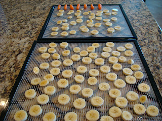 Sliced bananas on dehydrator trays