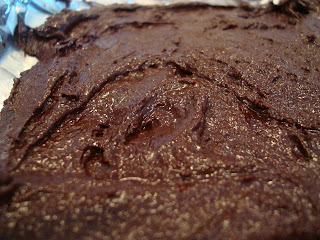 Close up of Raw Vegan Girl Scout "Thin Mint"-Inspired Fudge