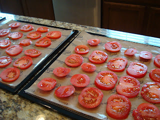 Sliced Tomatoes on dehydrator trays